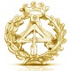 INSIGNIA APAREJADOR