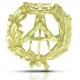INSIGNIA APAREJADOR