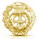 INSIGNIA DELINEANTE
