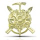 INSIGNIA ESQUIADORES ORO