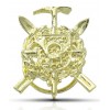 INSIGNIA ESQUIADORES ORO