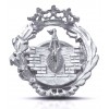 INSIGNIA INGENIERO NAVAL 18X16MM