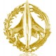 INSIGNIA INGENIERO AVIACIÓN