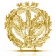 INSIGNIA INGENIERO AGRÓNOMO