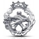 INSIGNIA INGENIERO AERONÁUTICO Y AEROESPACIAL