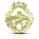 INSIGNIA INGENIERO AERONÁUTICO Y AEROESPACIAL