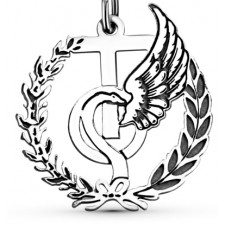 LLAVERO TERAPIA OCUPACIONAL PLATA