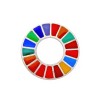 INSIGNIA AGENDA 2030 PLATA 1ª LEY