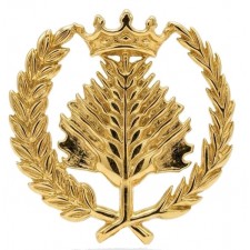 INSIGNIA ADMINISTRACIÓN Y DIRECCION DE EMPRESAS (ADE) Nuevo Modelo