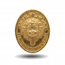 INSIGNIA CATEDRATICO PLATA CHAPADA